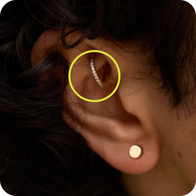 Rook