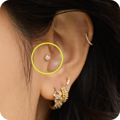 Tragus
