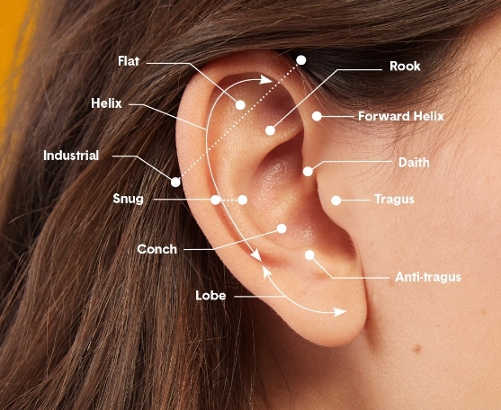 Amazon.com: 5 Pairs Flat Back Earrings for Women,6MM Hypoallergenic  Flatback Cartilage Earring Stud,Round Cubic Zirconia Tragus Stud Earrings  Surgical Steel Screw Back Ear Set (6mm Diameter) : Handmade Products
