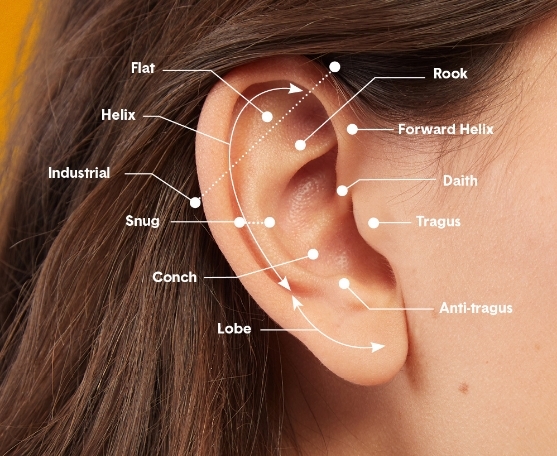 Where to deals pierce ears