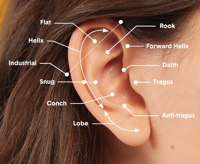 Ear Piercing Overview | Banter