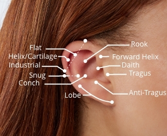 Ear Piercing Overview | Banter