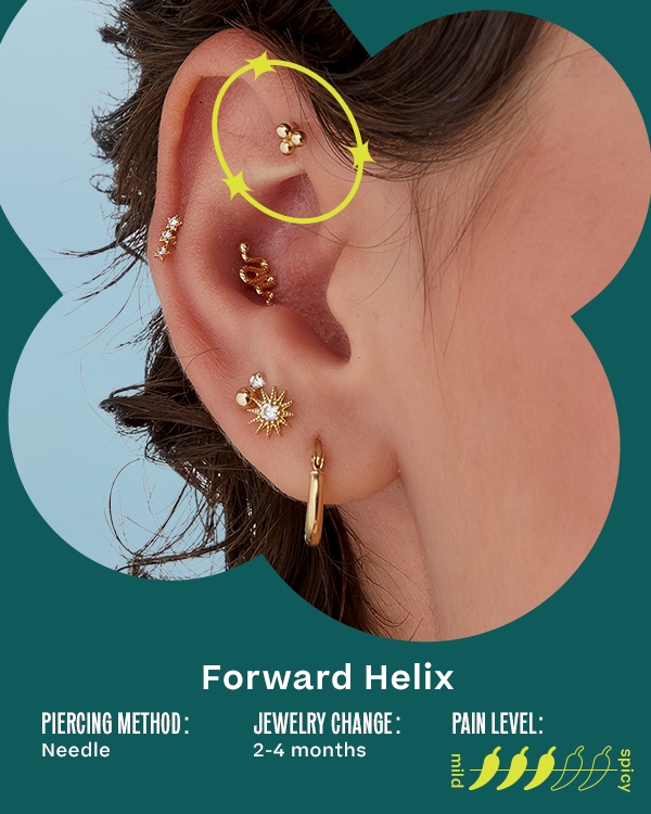 Forward Helix. Piercing Method: Needle; Jewelry Change: 2-4 Months; Pain Level: 3/5